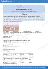 Đề thi giữa kì 1 KHTN 8 Kết nối tri thức - Đề số 4